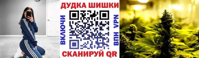 Где купить Тосно Галлюциногенные грибы Меф мяу мяу ГАШИШ Cocaine