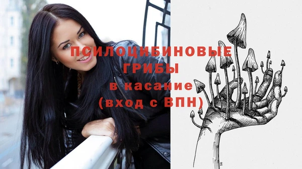 амф Алзамай
