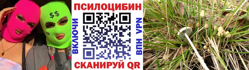 Галлюциногенные грибы Magic Shrooms даркнет сайт Тосно