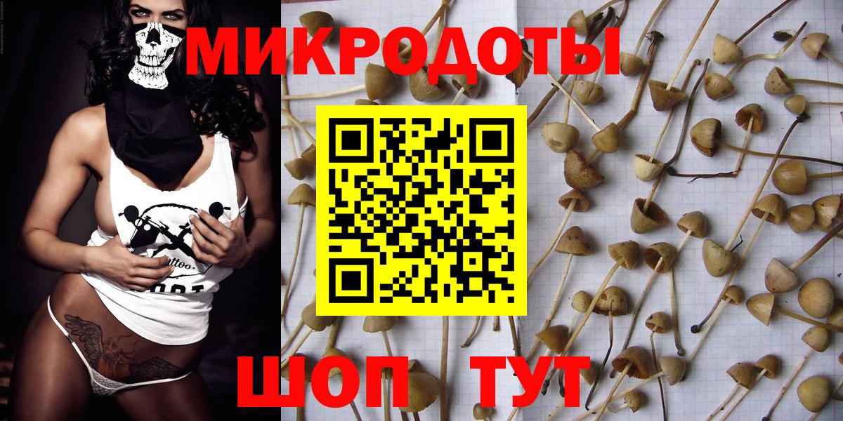 Галлюциногенные грибы GOLDEN TEACHER Тосно