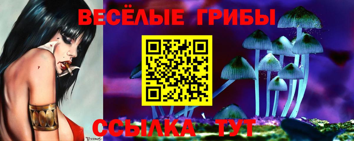 Галлюциногенные грибы ЛСД  Вход с VPN  Тосно 